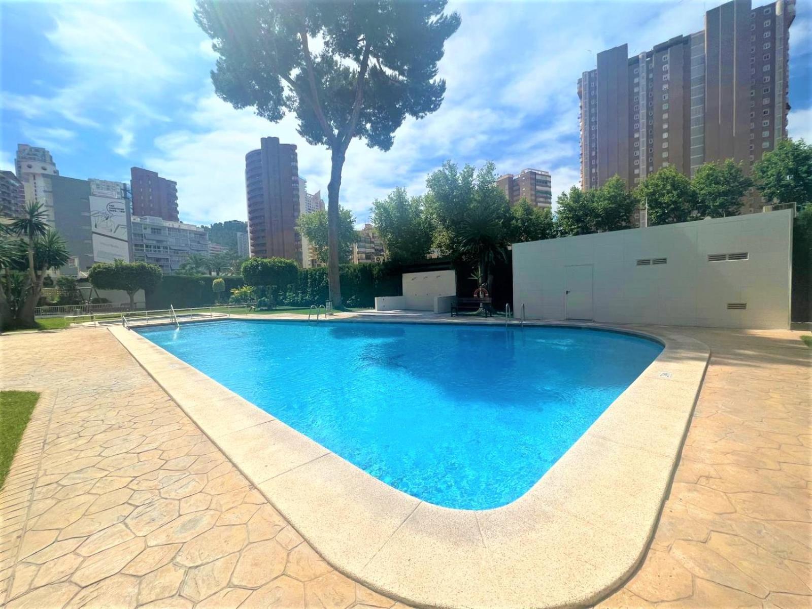 Apartment Albatros 11 *